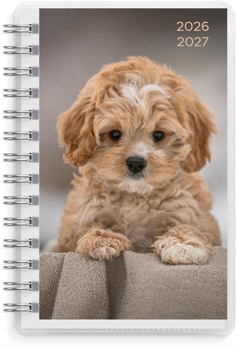 Elevkalender - Kalender 26/27 Compact Pets
