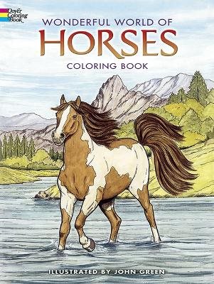 Wonderful world of horses coloring book
