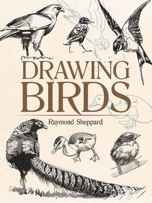 Drawing birds