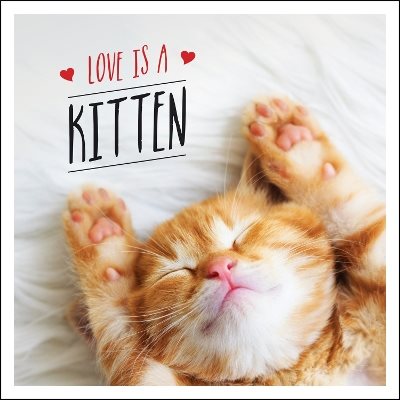 Love is a Kitten: A Cat-Tastic Celebration of the World