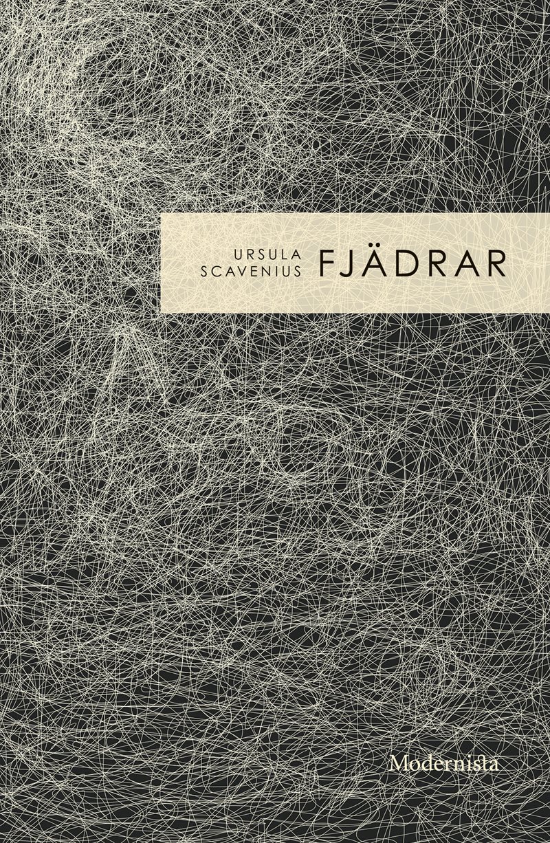 Fjädrar