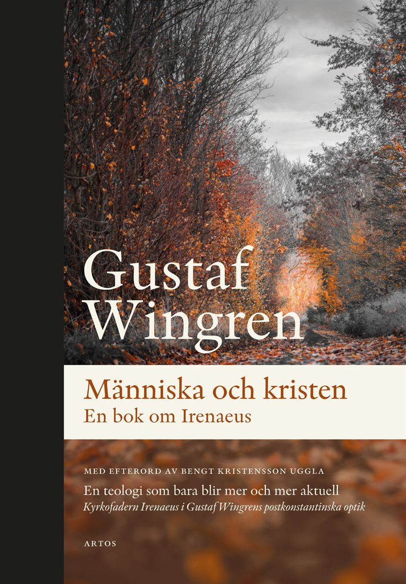 Människa och kristen : en bok om Irenaeus