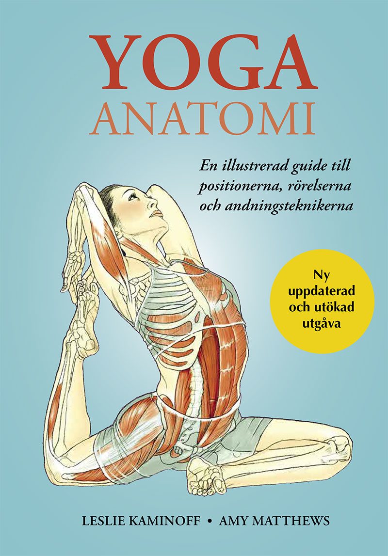 Yoga anatomi