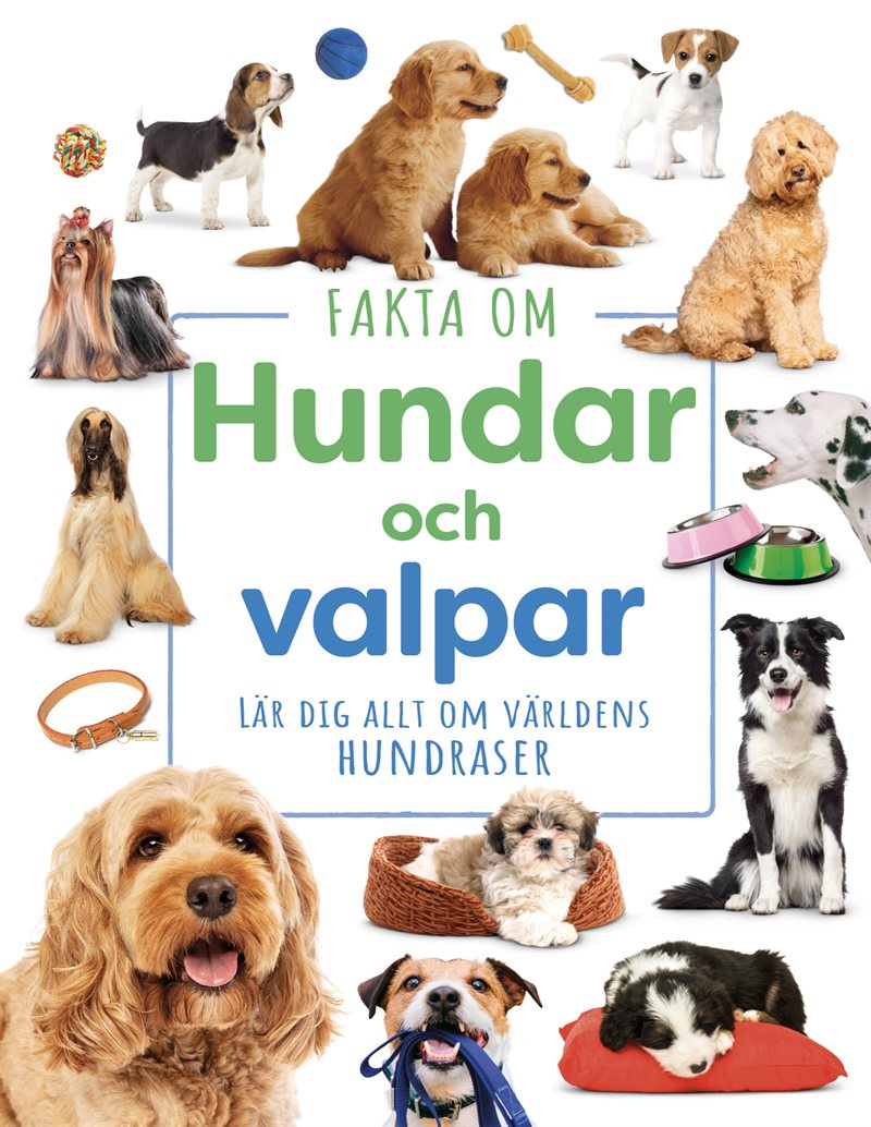 Fakta om hundar och valpar : lär dig allt om världens hundraser