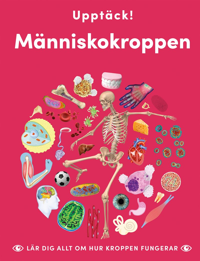 Upptäck människokroppen : lär dig allt om hur kroppen fungerar