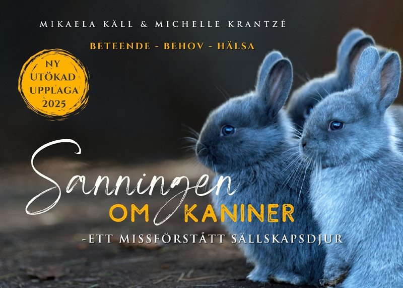 Sanningen om Kaniner : Ett Missförstått Sällskapsdjur
