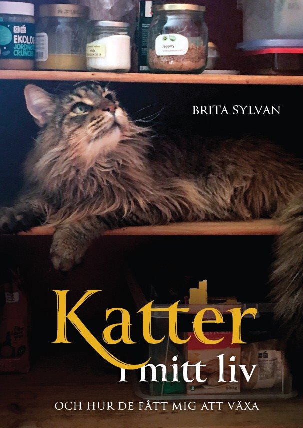 Katter i mitt liv och hur de fått mig att växa