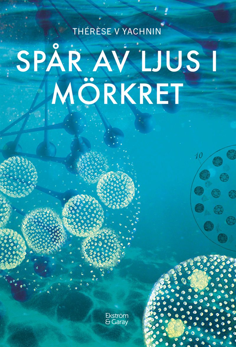 Spår av ljus i mörkret