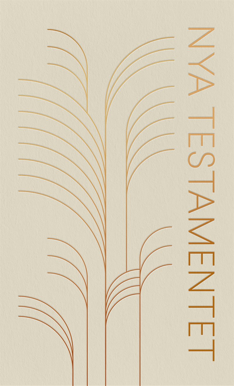 Nya testamentet 2026 flexband