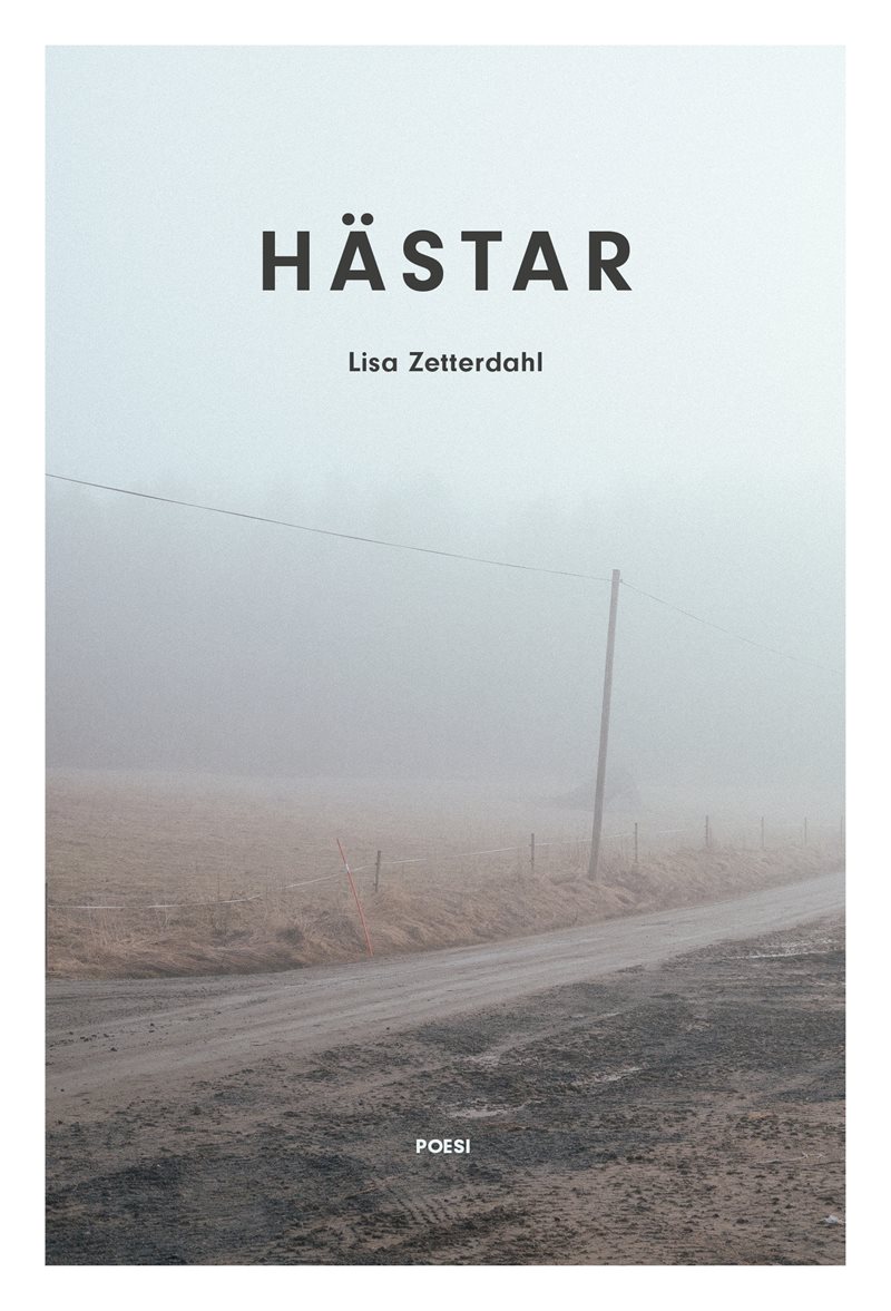 Hästar