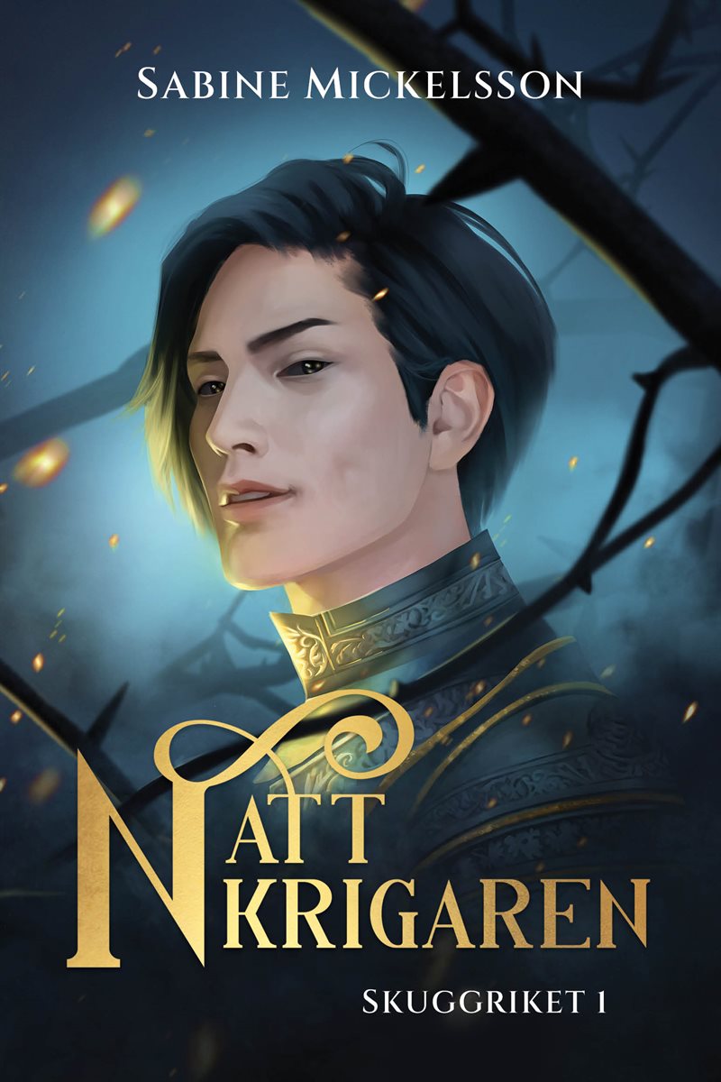 Nattkrigaren