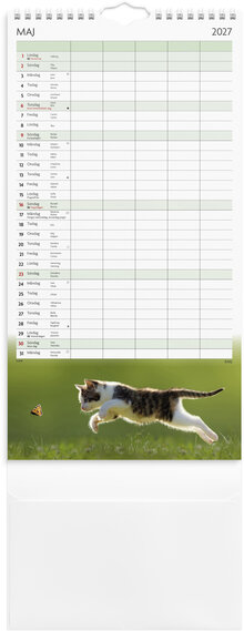 Familjekalender 2027 Katter