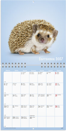Väggkalender 2027 Sötnosar