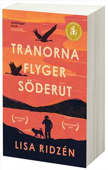 Tranorna flyger söderut