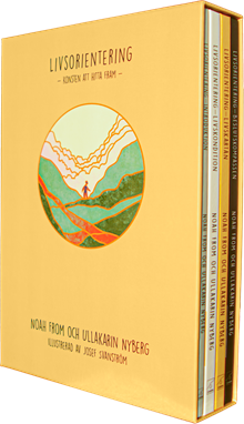 Livsorientering : konsten att hitta fram